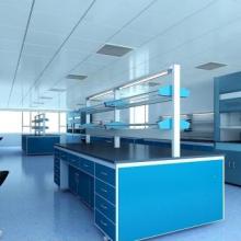  藍(lán)翔凈化公司 主營(yíng) 凈化工程